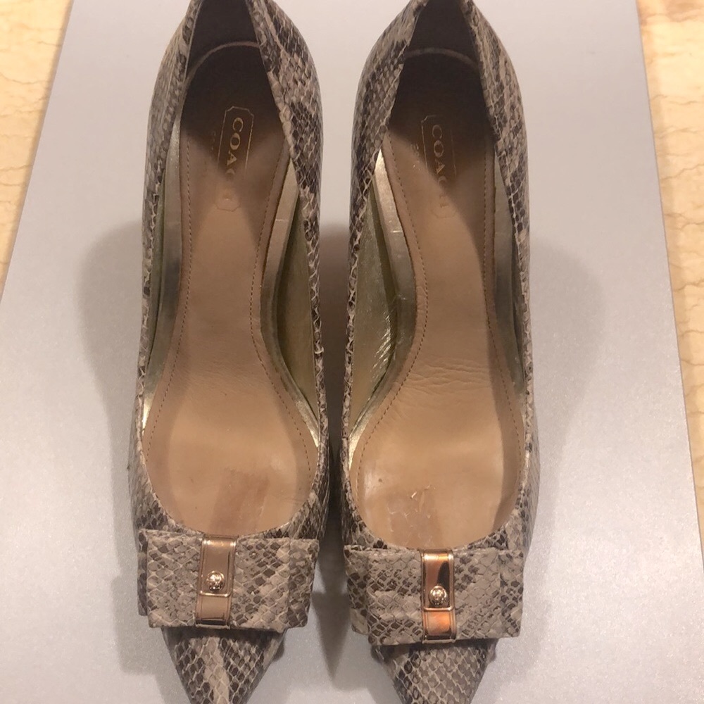 Coach Snakeskin Pointed Toe Pumps in Gray and Brown with Gold Accent